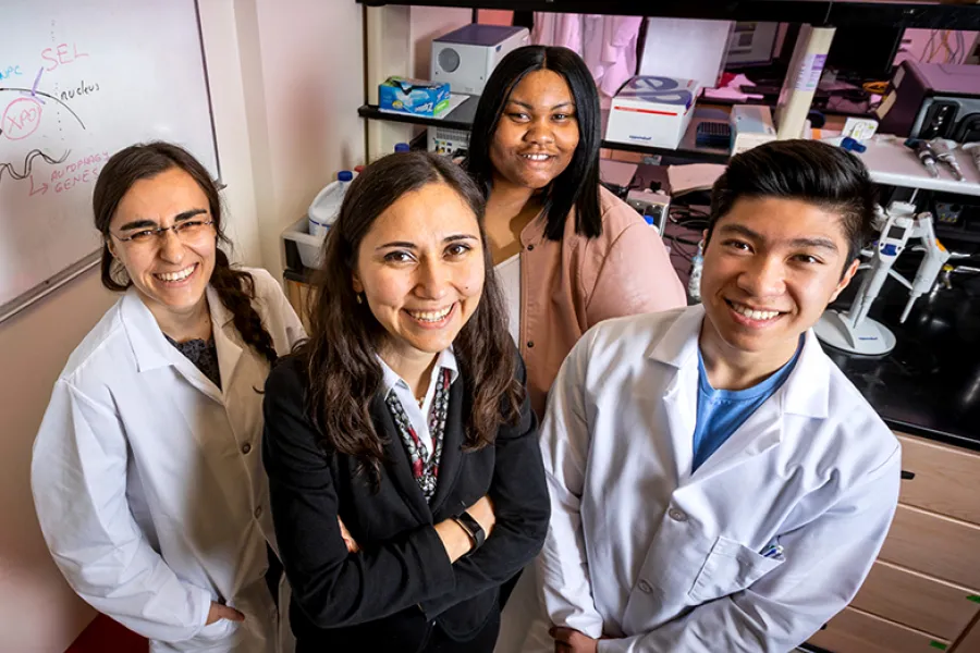 Targeting estrogen receptor-positive breast tumors with the XPO1 antagonist selinexor and the tamoxifen byproduct 4-OHT simultaneously rewires the cells’ metabolism to overcome endocrine resistance, University of Illinois researchers  found in a new study.  