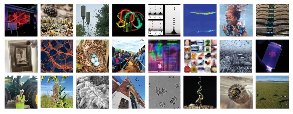 grid with the 24 semifinalists images