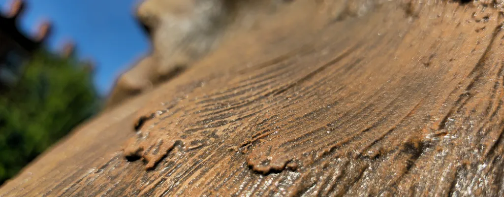 close up of a bronze sculpture 