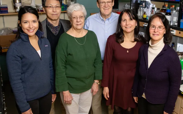Researchers including, from left, graduate student Valeria Sanabria Guillen, research scientist Sung Hoon Kim, researcher Kathy Carlson, chemistry professor John Katzenellenbogen, research specialist Yvonne Ziegler, and molecular and integrative physiology professor Benita Katzenellenbogen developed new drug agents to inhibit a pathway that contributes to cancer. The compounds killed cancer cells and reduced the growth of breast cancer tumors in mice.  