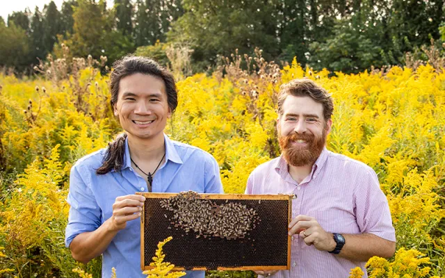Two U of I Graduate students hold a bee hive frame in a field of yellow flowers