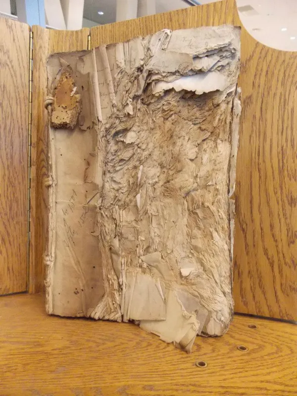 The Fragility of History